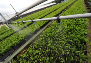Agritech is enabling urgan farming