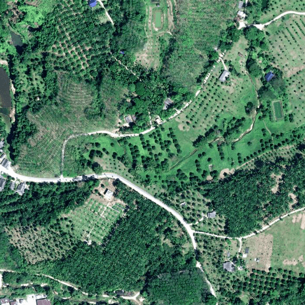 satellite imagery